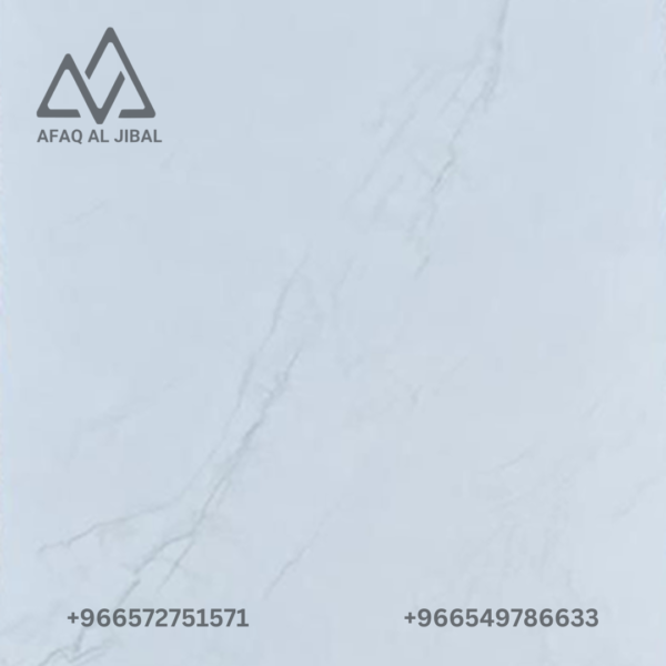 Porcelain tile
