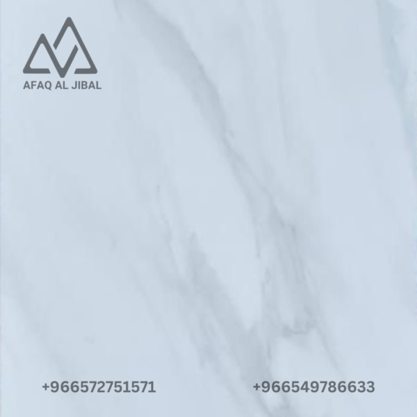Porcelain tile