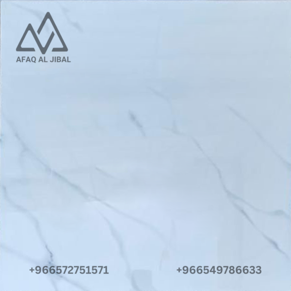 Porcelain tile