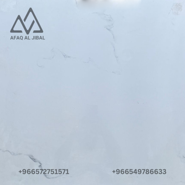 Porcelain tile
