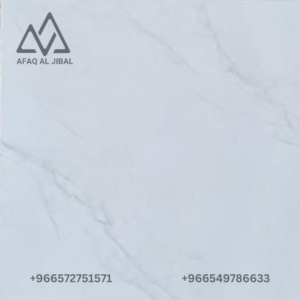 Porcelain tile