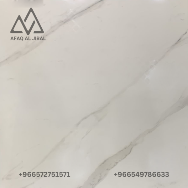 Porcelain tile