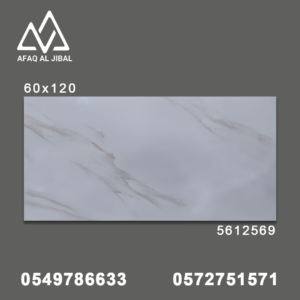 5612569