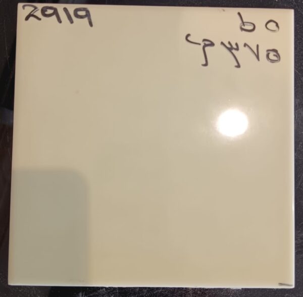 2919