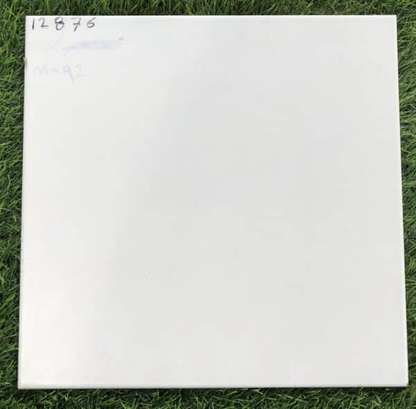 12876