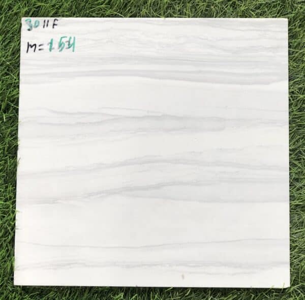 3011F