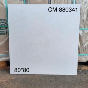 CG880-341