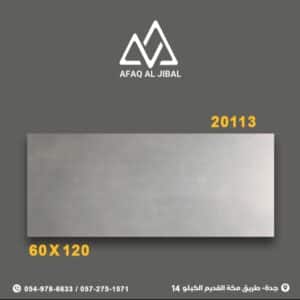 20123